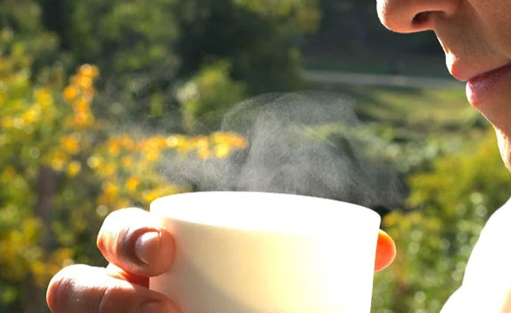 caldo de ossos clássico bio