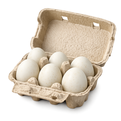 Ovos de Pata BIO Criadas ao Ar Livre