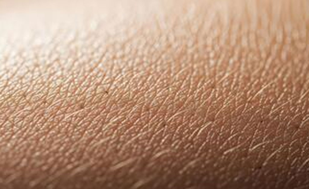 beneficios para a pele do sebo bovino