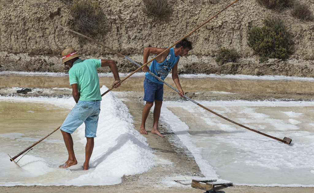 colheita artesanal de flor de sal castro marim algarve